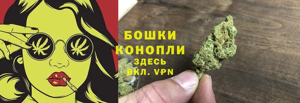 твердый Арсеньев